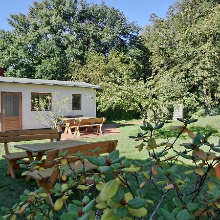 Strandstrasse 60 Ferienwohnung S12 Graal-Mueritz Ngoại thất bức ảnh